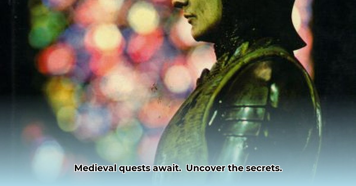 zoektocht-riddertijd